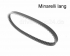 KEILRIEMEN Antriebsriemen 747 x 16,5 RIEMEN fr Minarelli Motore
