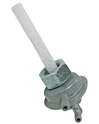 4157_1.jpg