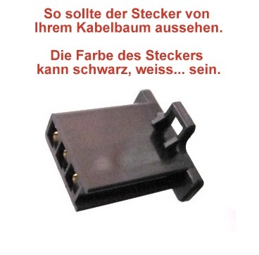 4358_1.jpg